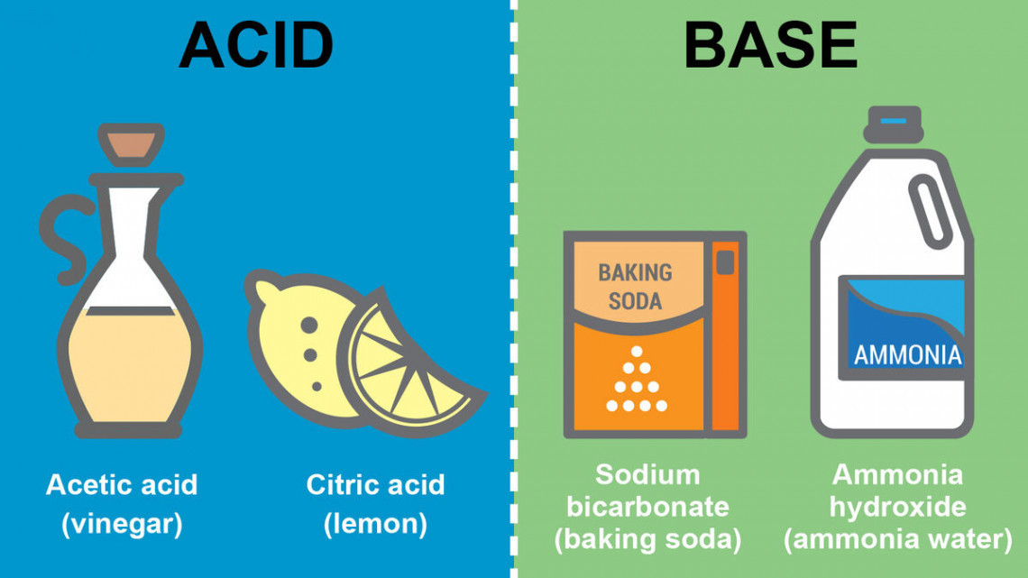 Difference Between Acids and Bases: Key Properties  YourDictionary