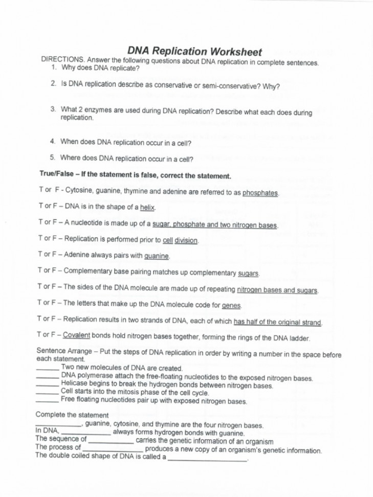 Dna Replication Worksheet   PDF  Dna  Dna Replication