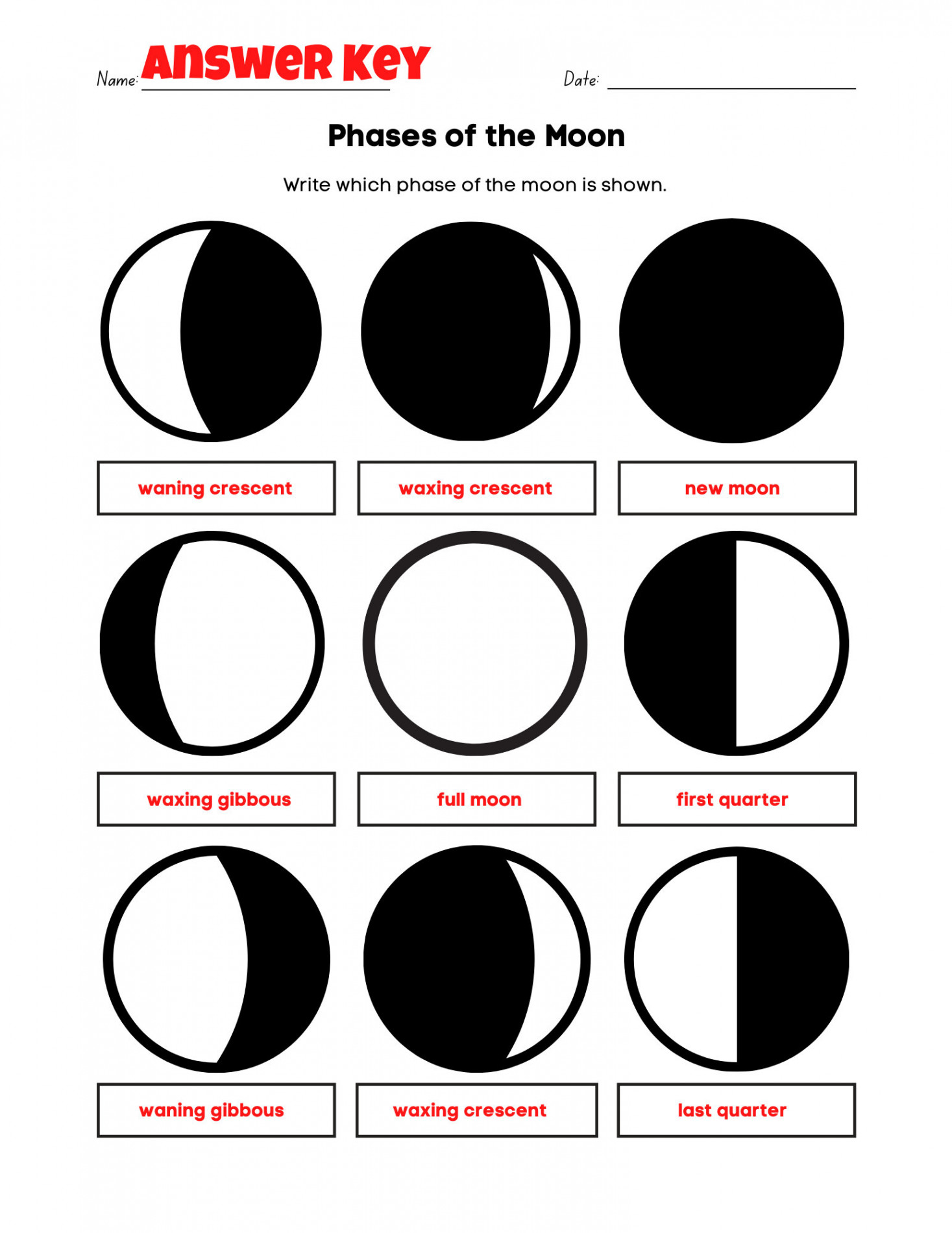 Easy Phases of the Moon Worksheet Fun PDF Print Activity with