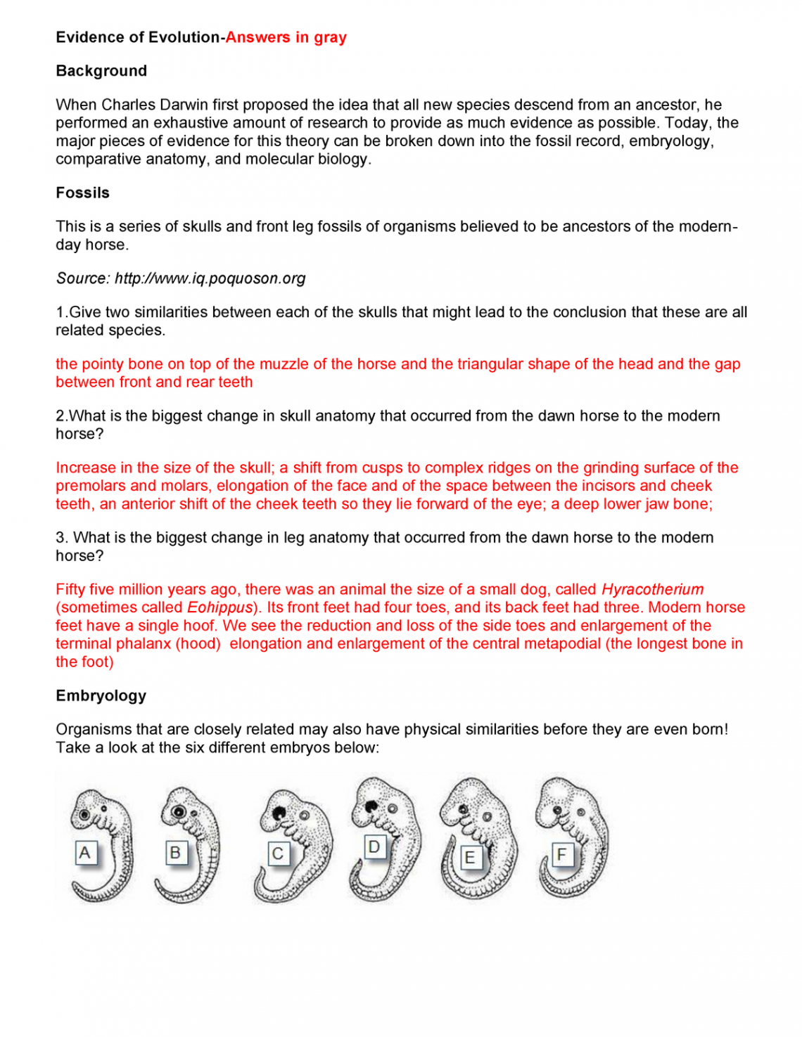 Evidence of evolution answers - Evidence of Evolution-Answers in