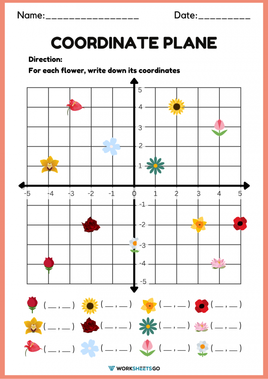 Flower Coordinate Planes  WorksheetsGO