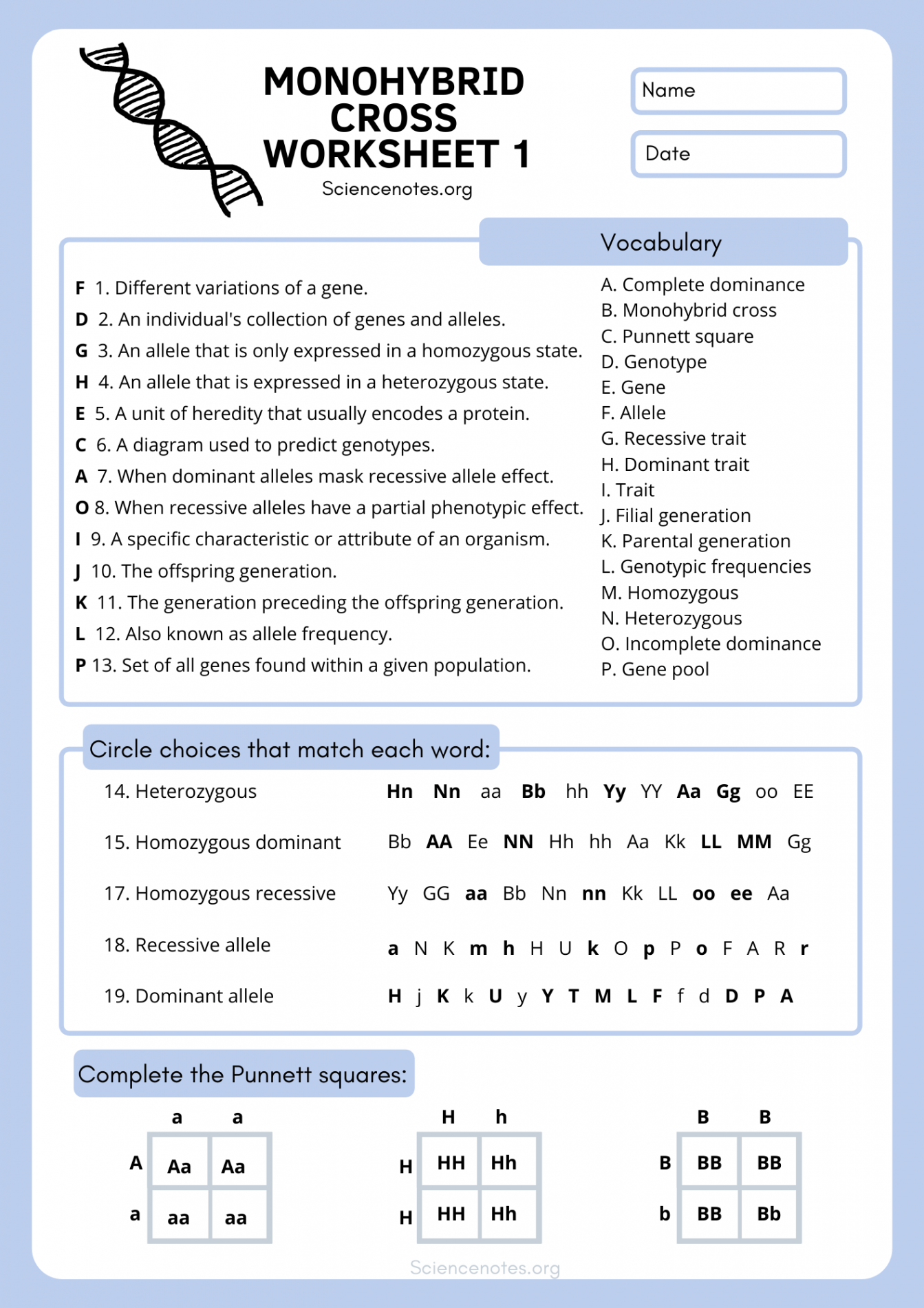 Genetics Worksheets and Printables