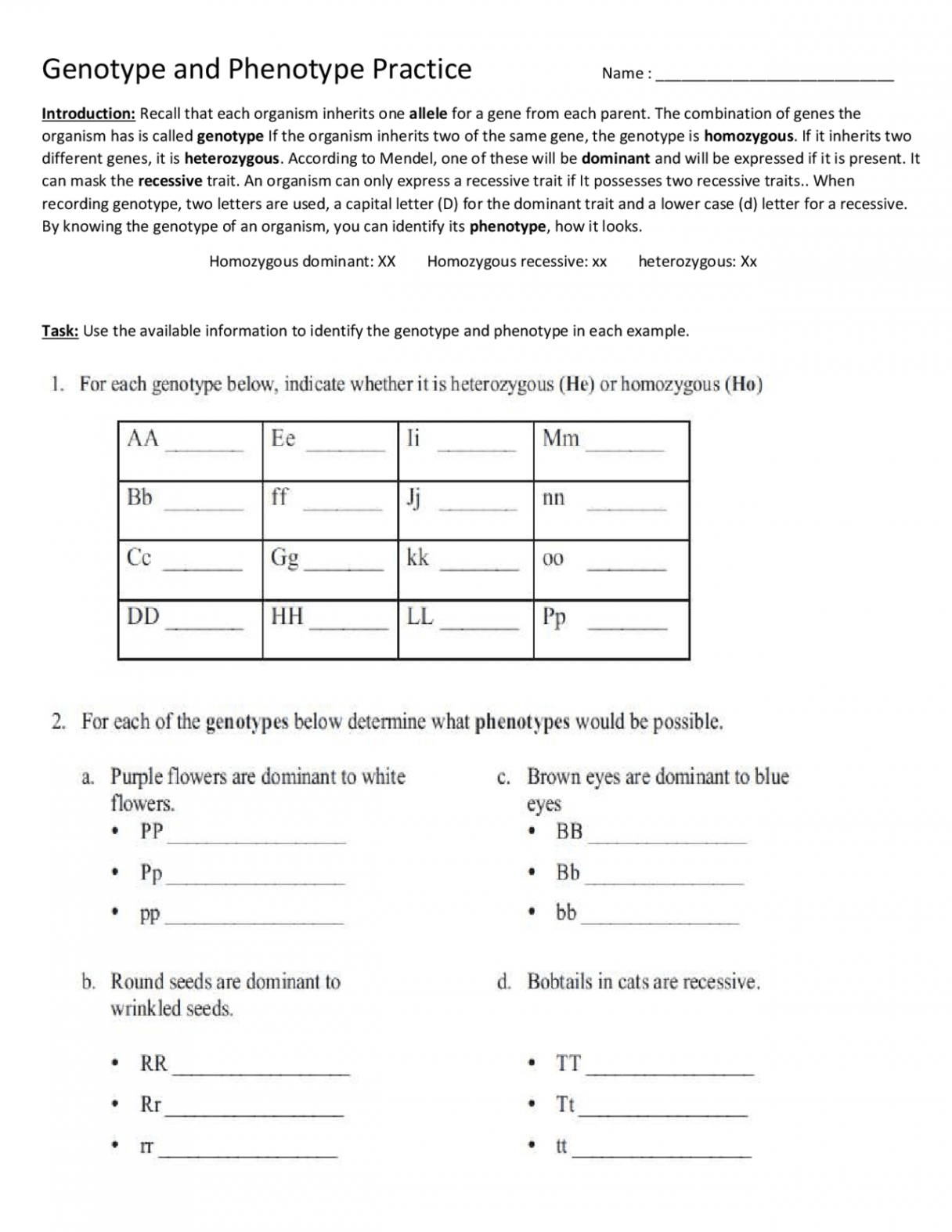 Genotype and Phenotype Practice Worksheet  Exercises Genetics