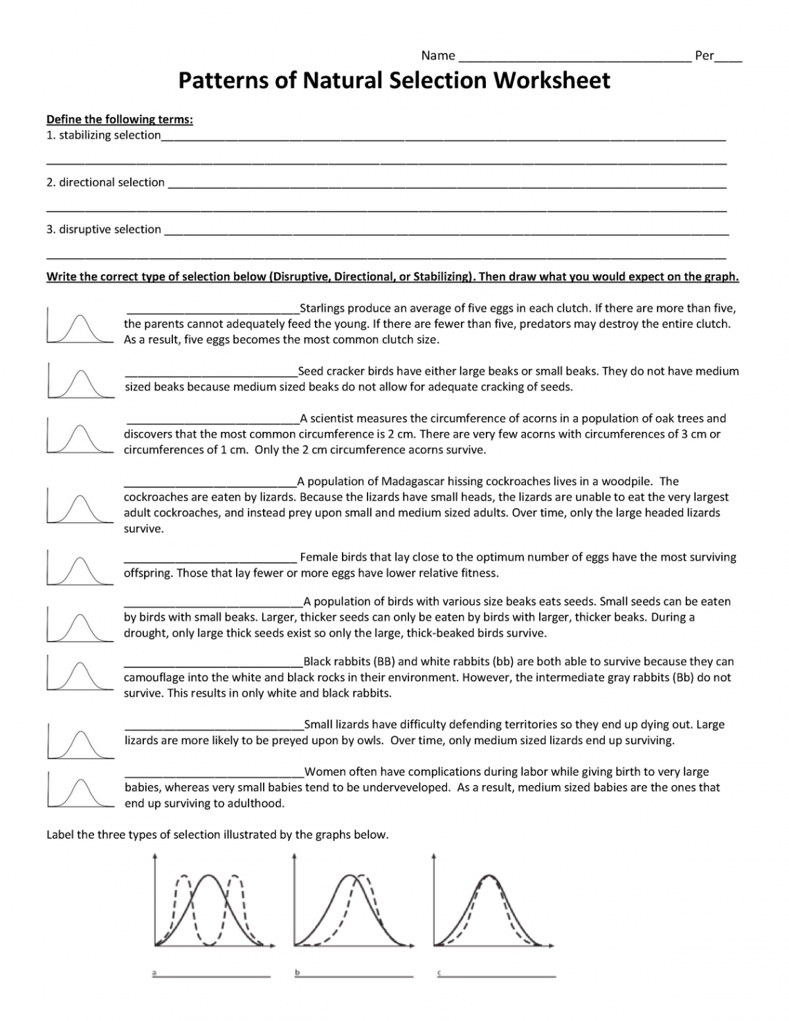 Handout - Patterns of Natural Selection - Patterns of Natural