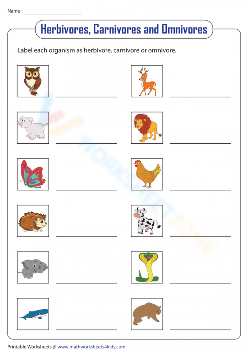 Herbivore, Carnivore Or Omnivore? Worksheet