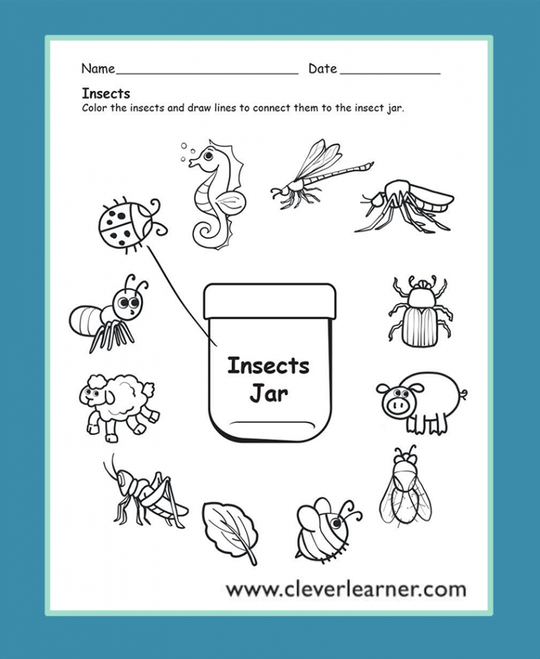 Insects preschool worksheets  Preschool worksheets, Insects