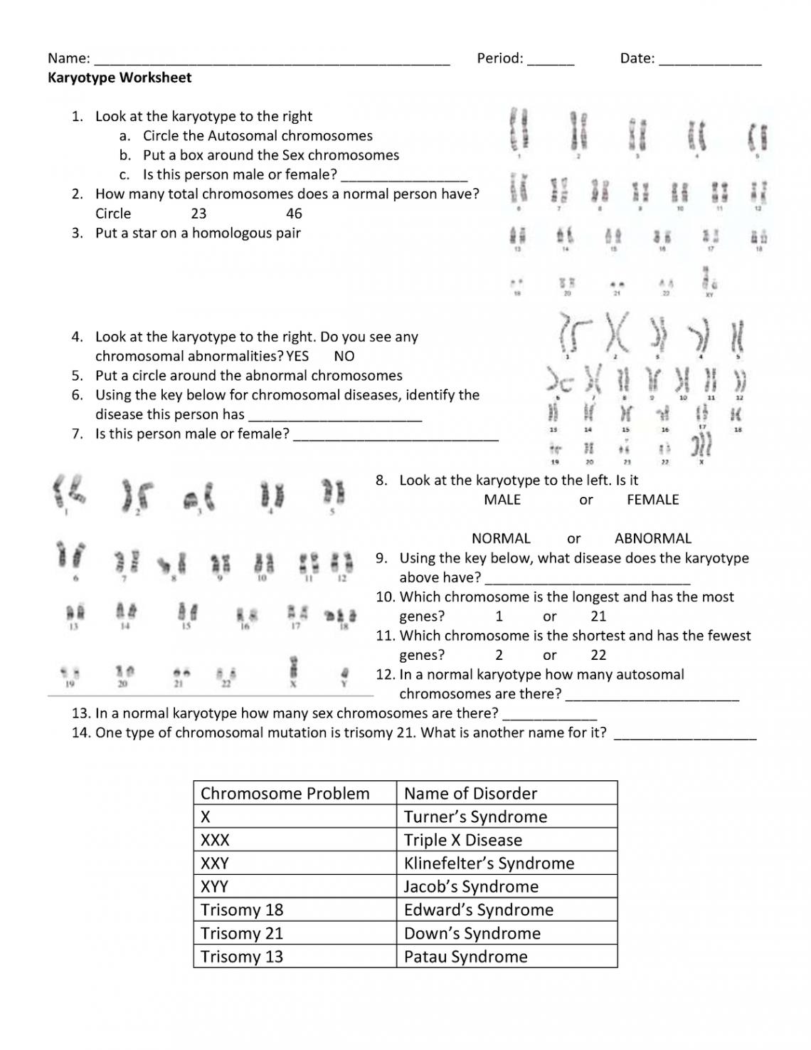 Karyotype worksheet  - math