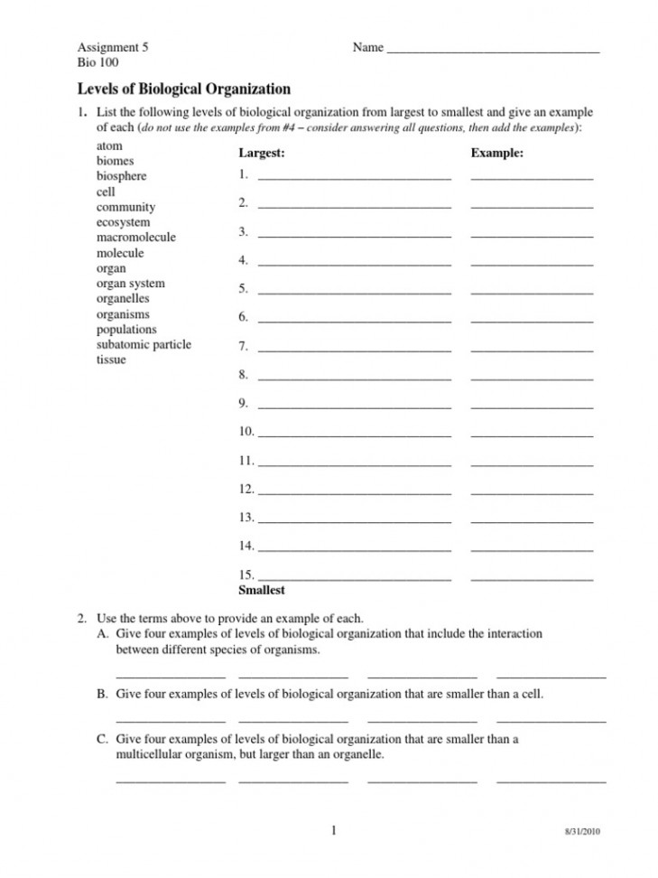 Levels of Biological Organization Worksheet PDF  PDF  Cell