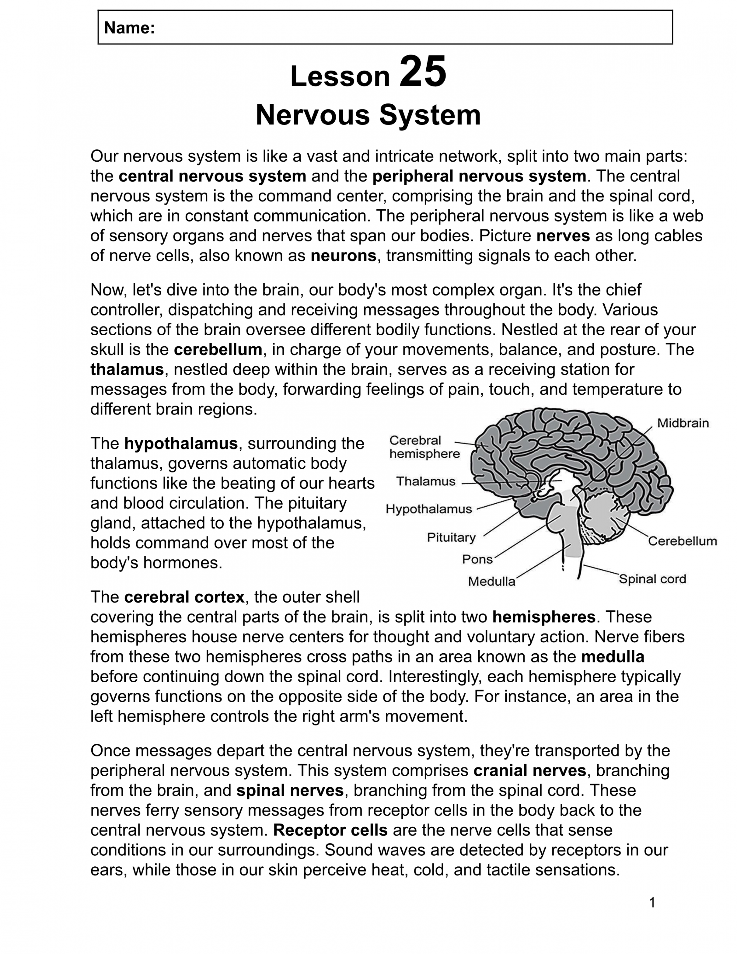 Life Science Reading Comprehension Passages Human Body Systems th and th  Grade (Word)