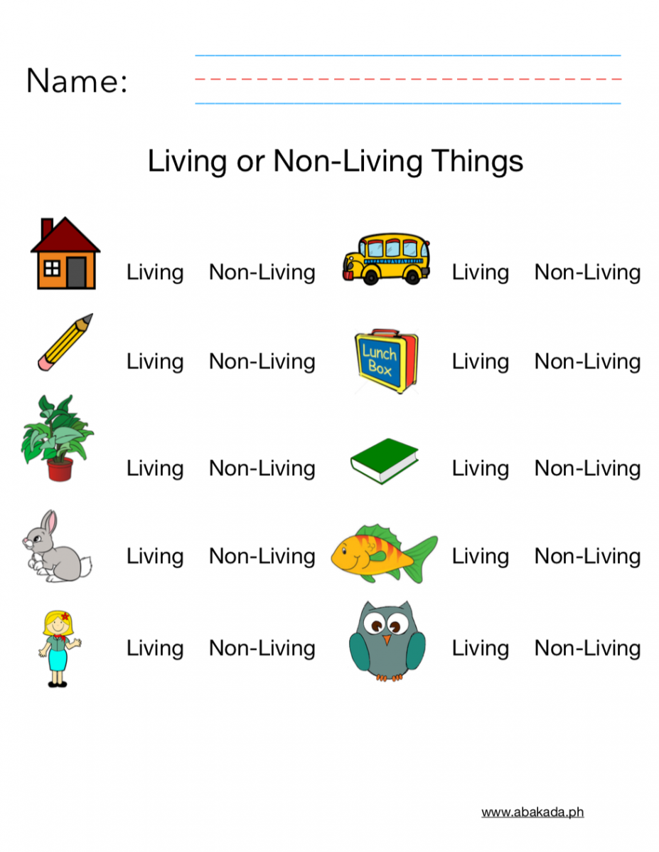 Living and Non-Living Worksheet  Science printable worksheets