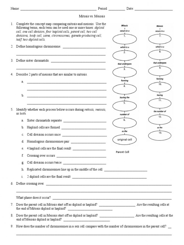 Mitosis Vs Meiosis Worksheet  PDF  Meiosis  Mitosis