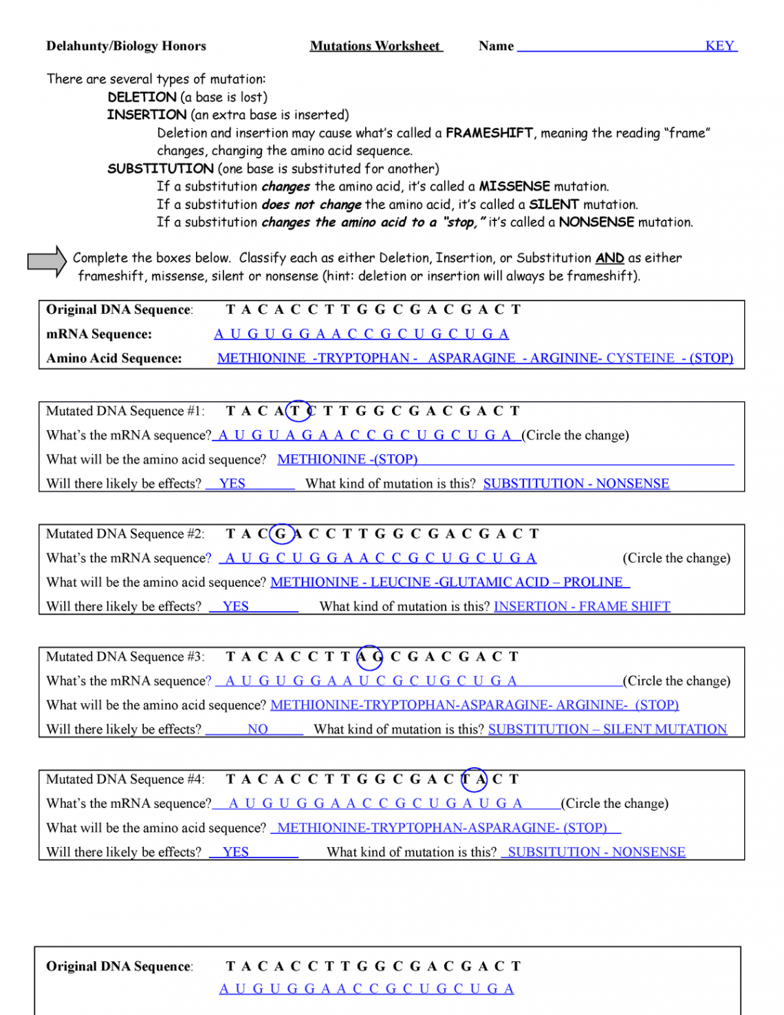 Mutations - WS - KEY - Sonal Tonger - Delahunty/Biology Honors