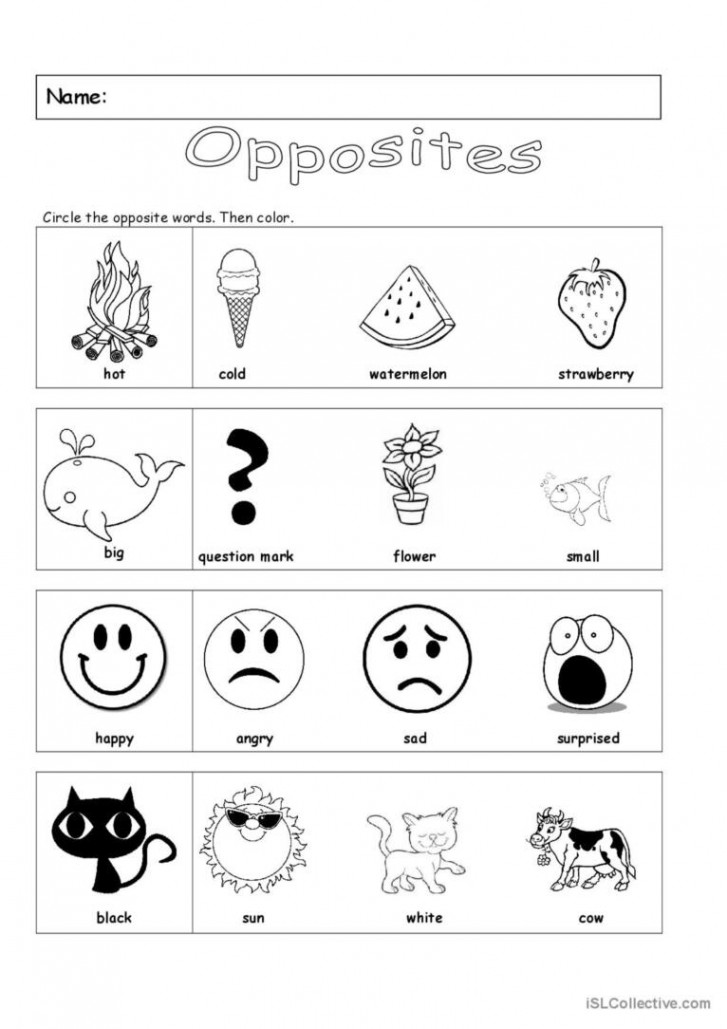 Opposites: English ESL worksheets pdf & doc