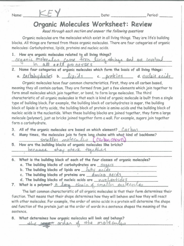 Organic Molecules Worksheet Re (Key)  PDF  Nucleotides