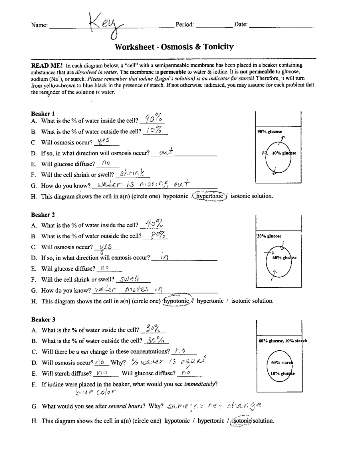 Osmosis and Tonicity Worksheet Answer Key  Exercises Cell Biology