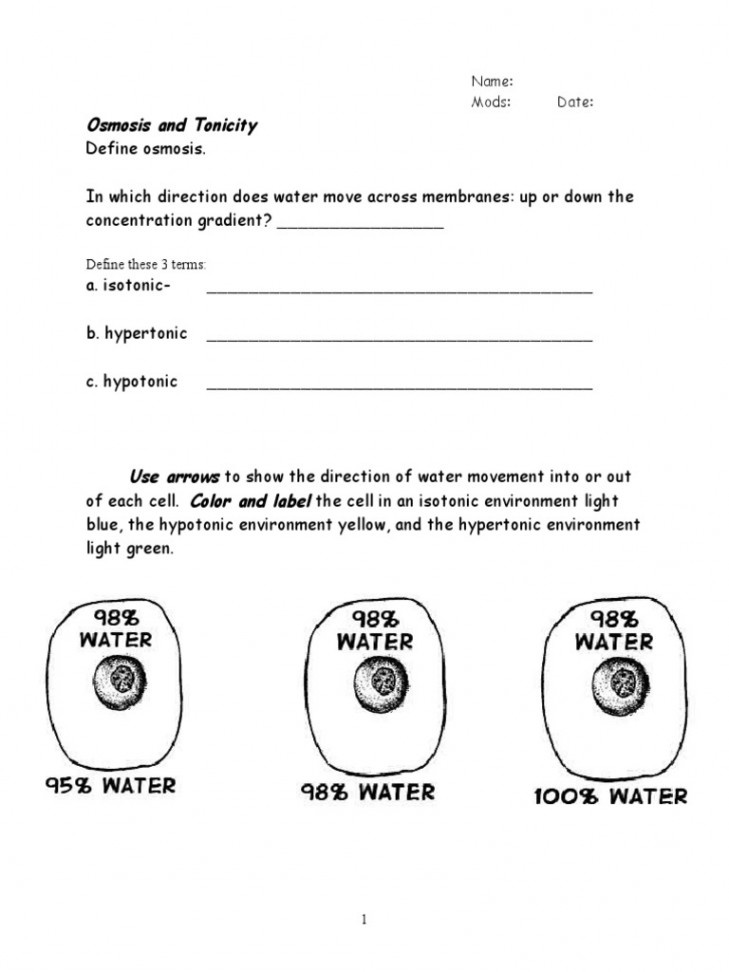 Osmosis and Tonicity Worksheet  PDF