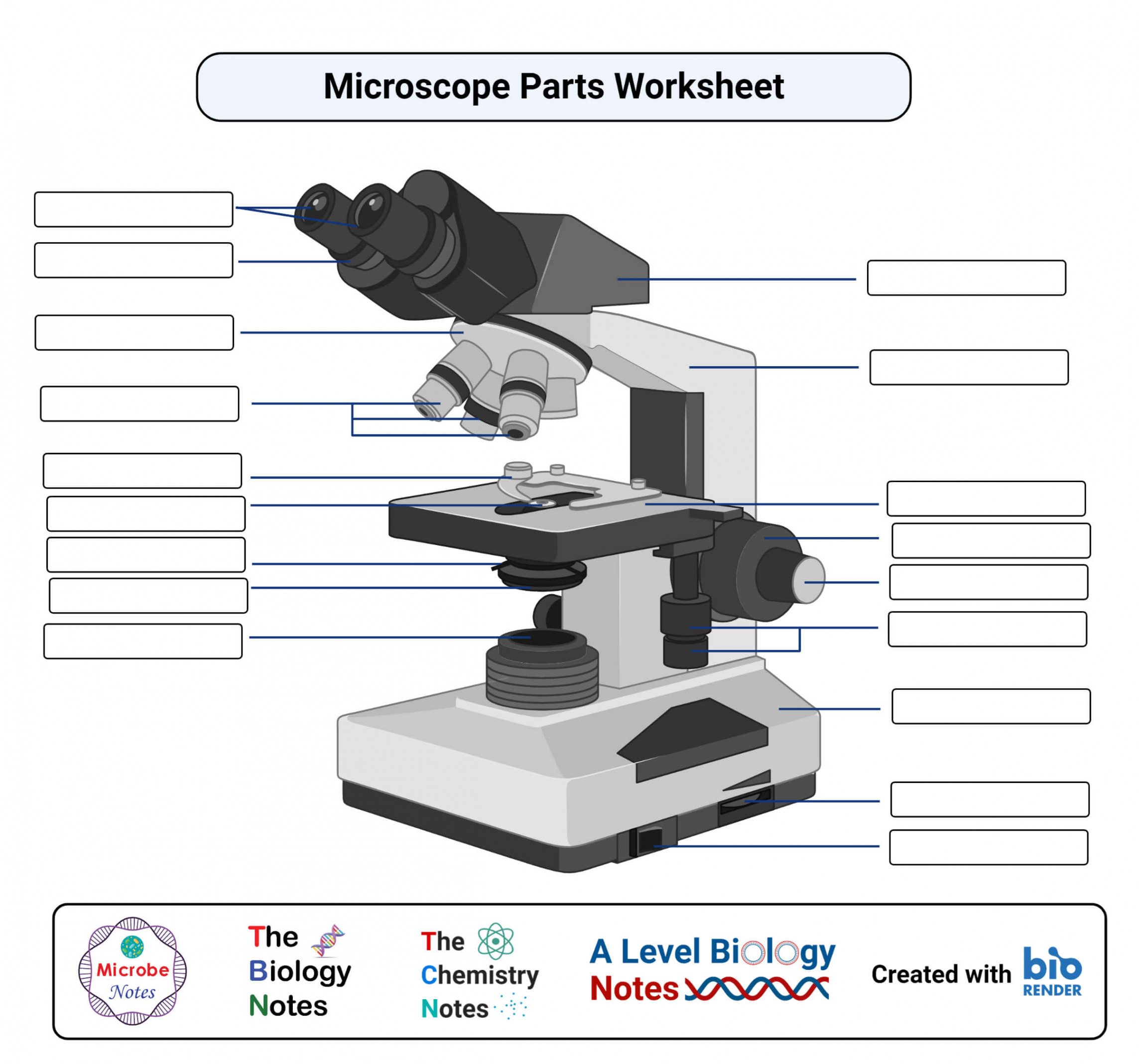 Parts of a microscope with functions and labeled diagram