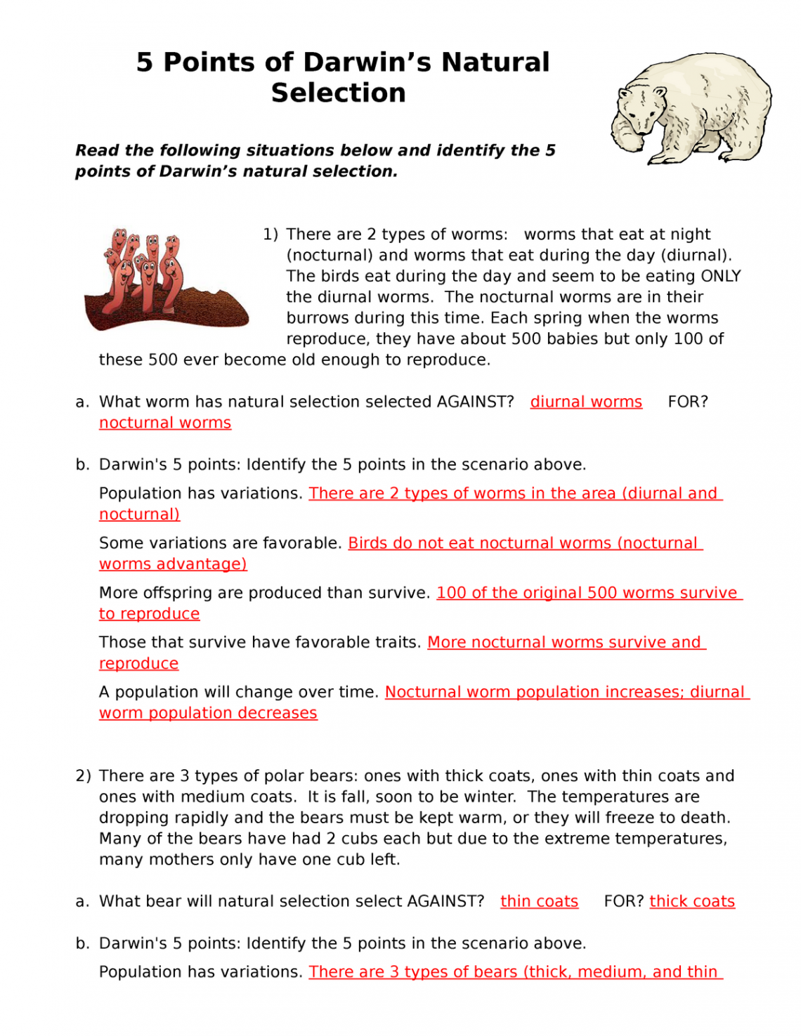 Points of Natural Selection - Answer Key - BSC  - Studocu