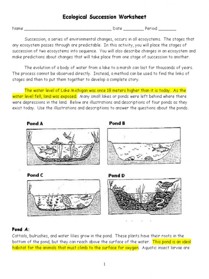 POND Ecological Succession Worksheet KEY Xdweh  PDF  Pond  Lake