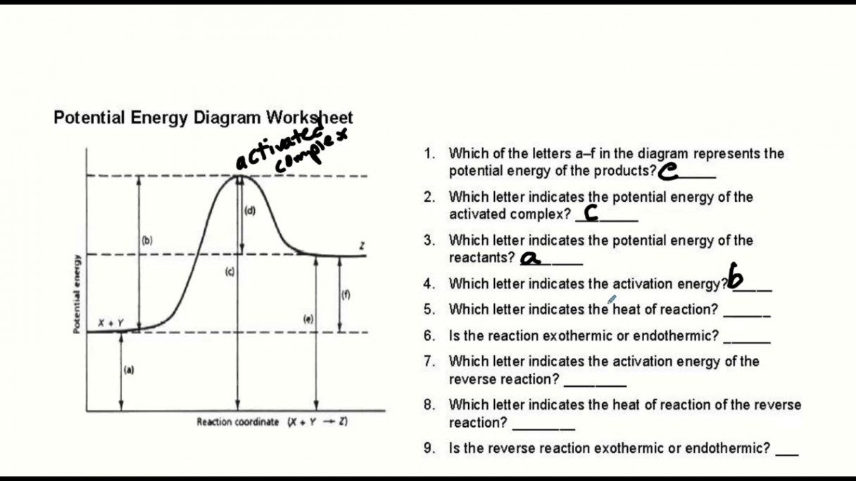 Potential Energy Diagrams