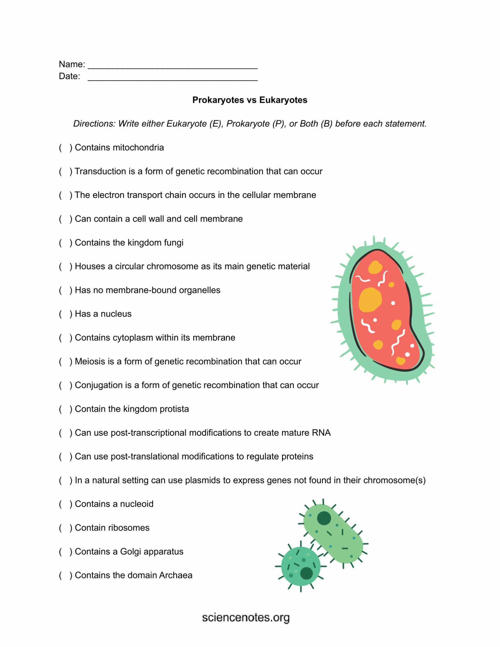 Prokaryotic vs Eukaryotic Cells - Similarities and Differences