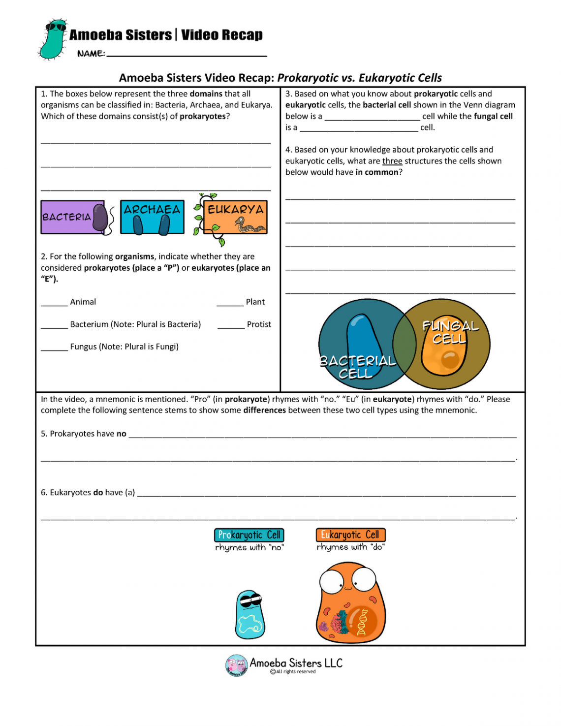 Prokaryotic vs Eukaryotic Cells Worksheet - Studocu