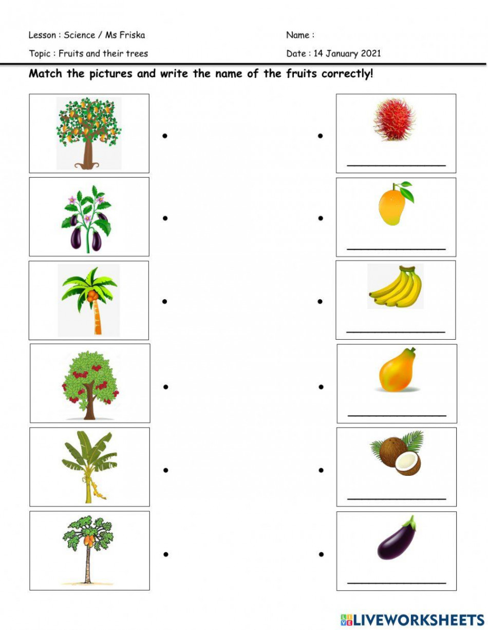 Science online exercise for preschool  Live Worksheets