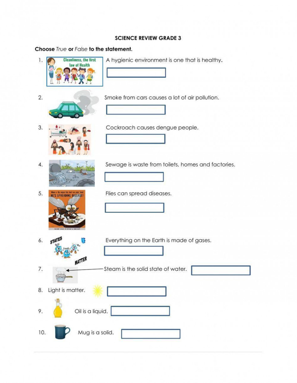 Science review grade  worksheet  Live Worksheets