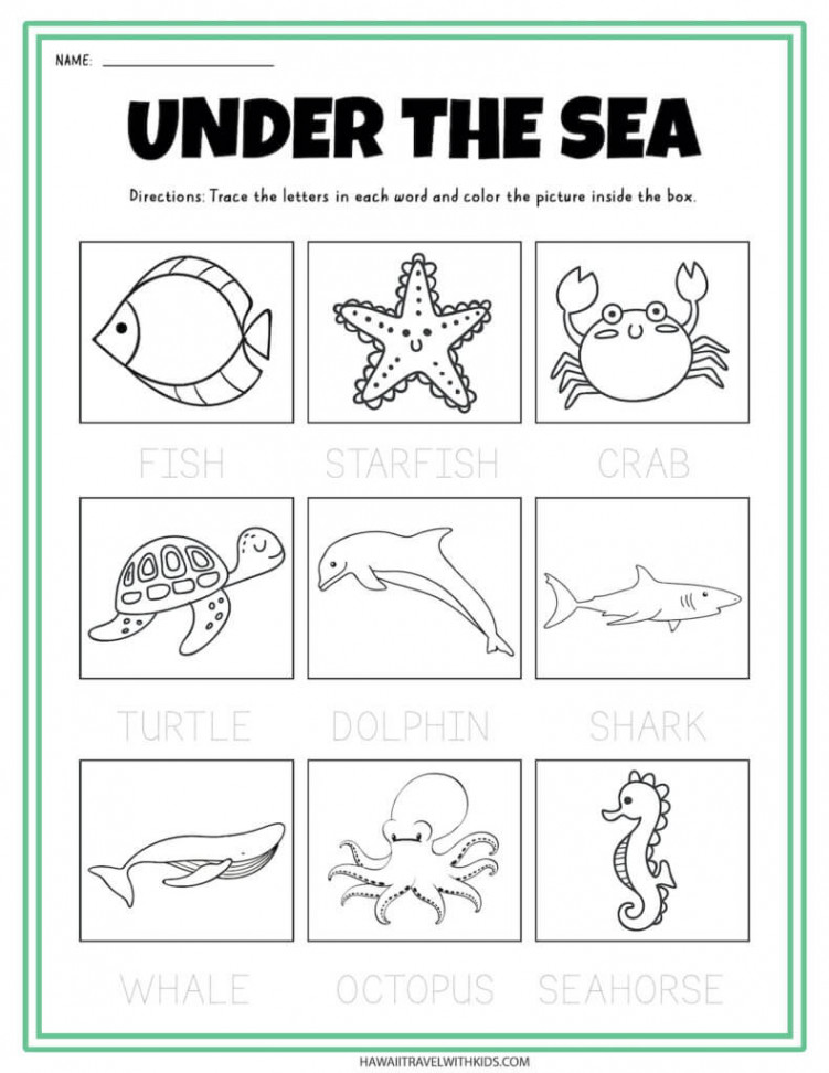 Sea Animal Worksheets and Coloring Pages - Hawaii Travel with Kids