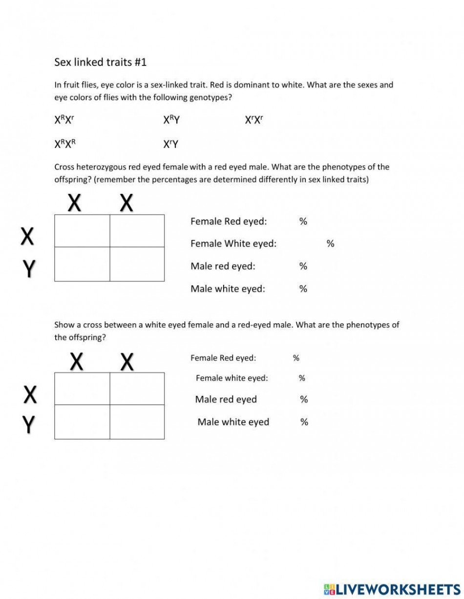 Sex linked traits - worksheet  Live Worksheets