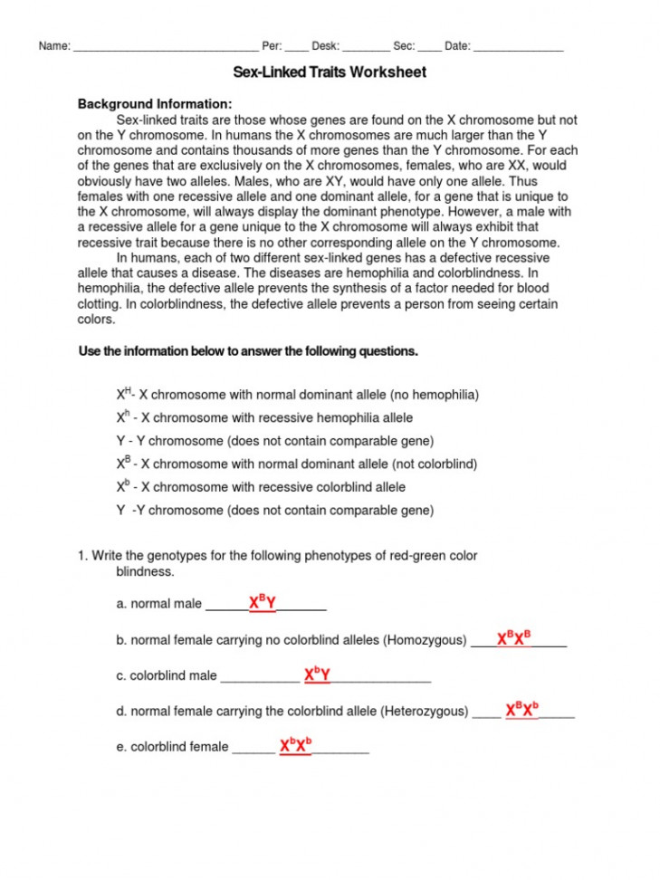 Sex Linked Worksheet  PDF  Dominance (Genetics)  Allele