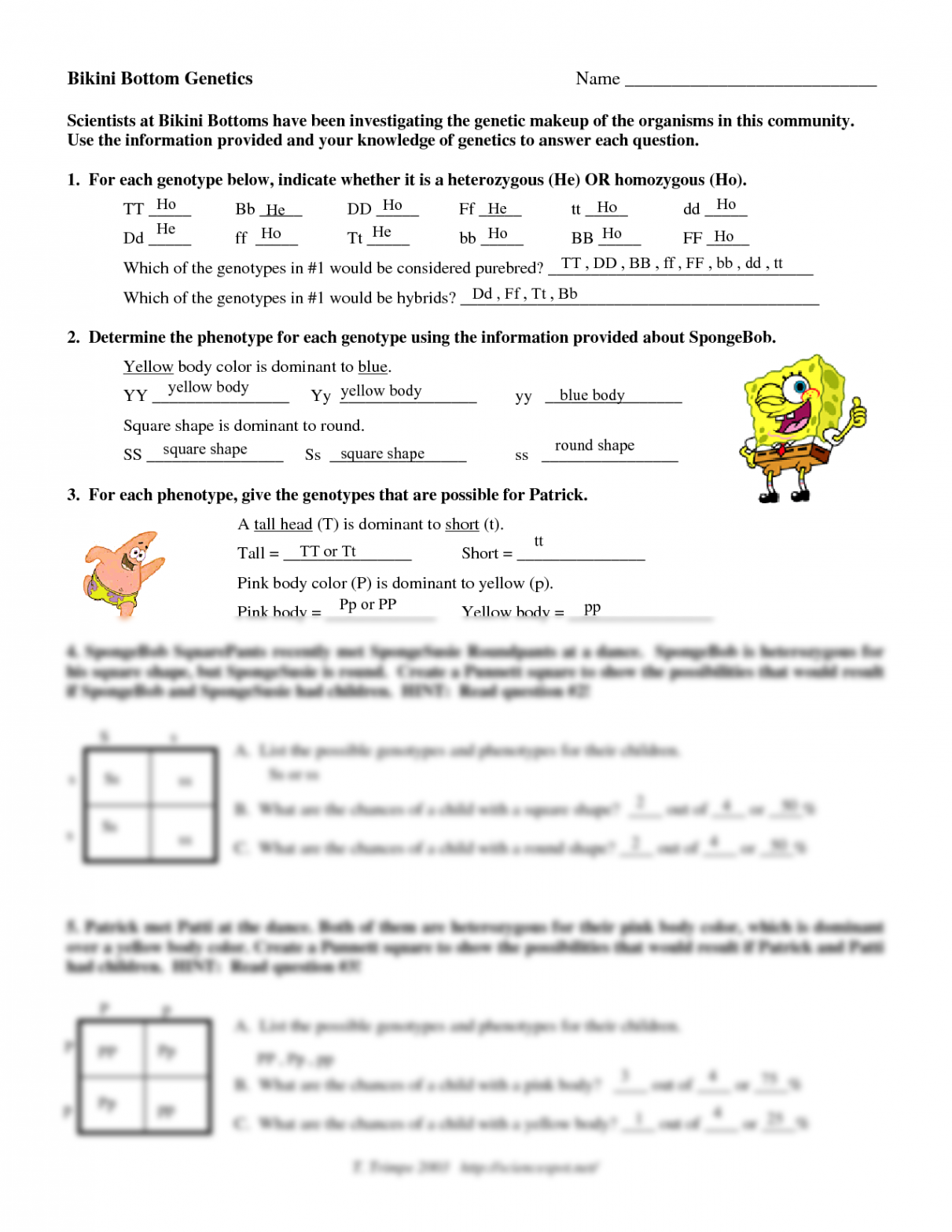 SOLUTION: Bikini Bottom Genetics Worksheet - Studypool