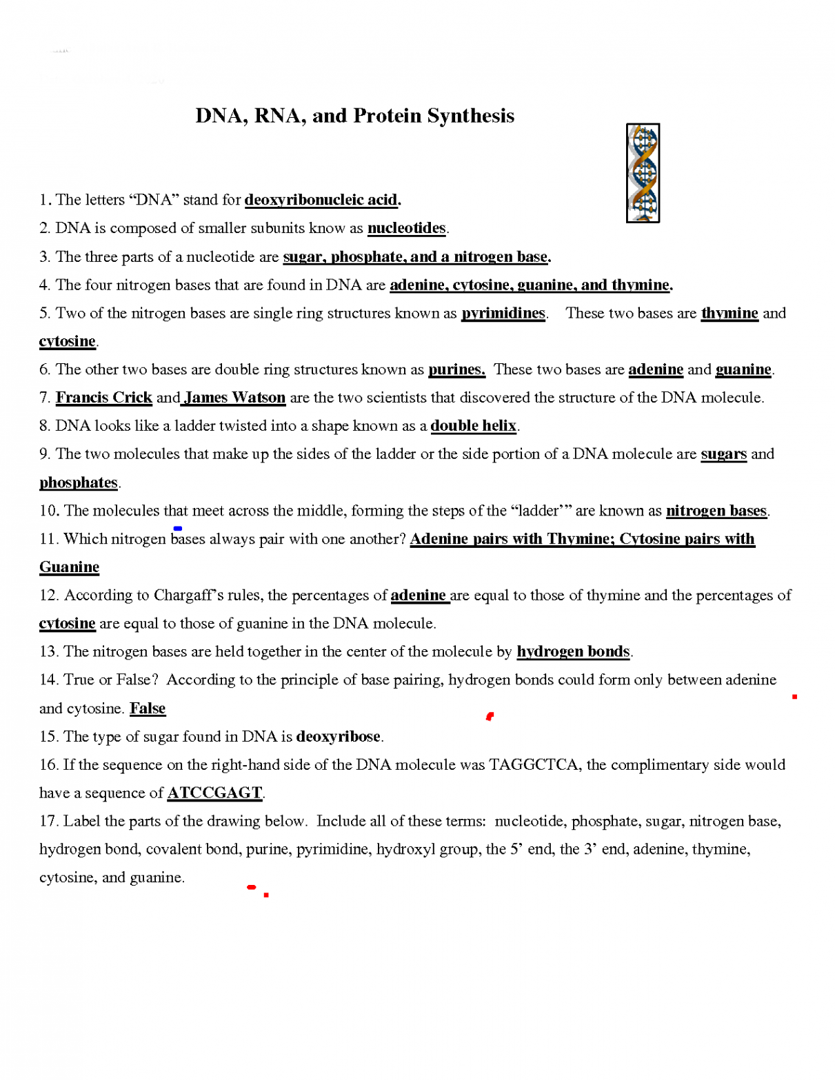 SOLUTION: Dna rna worksheet allaiza ann balandang - Studypool