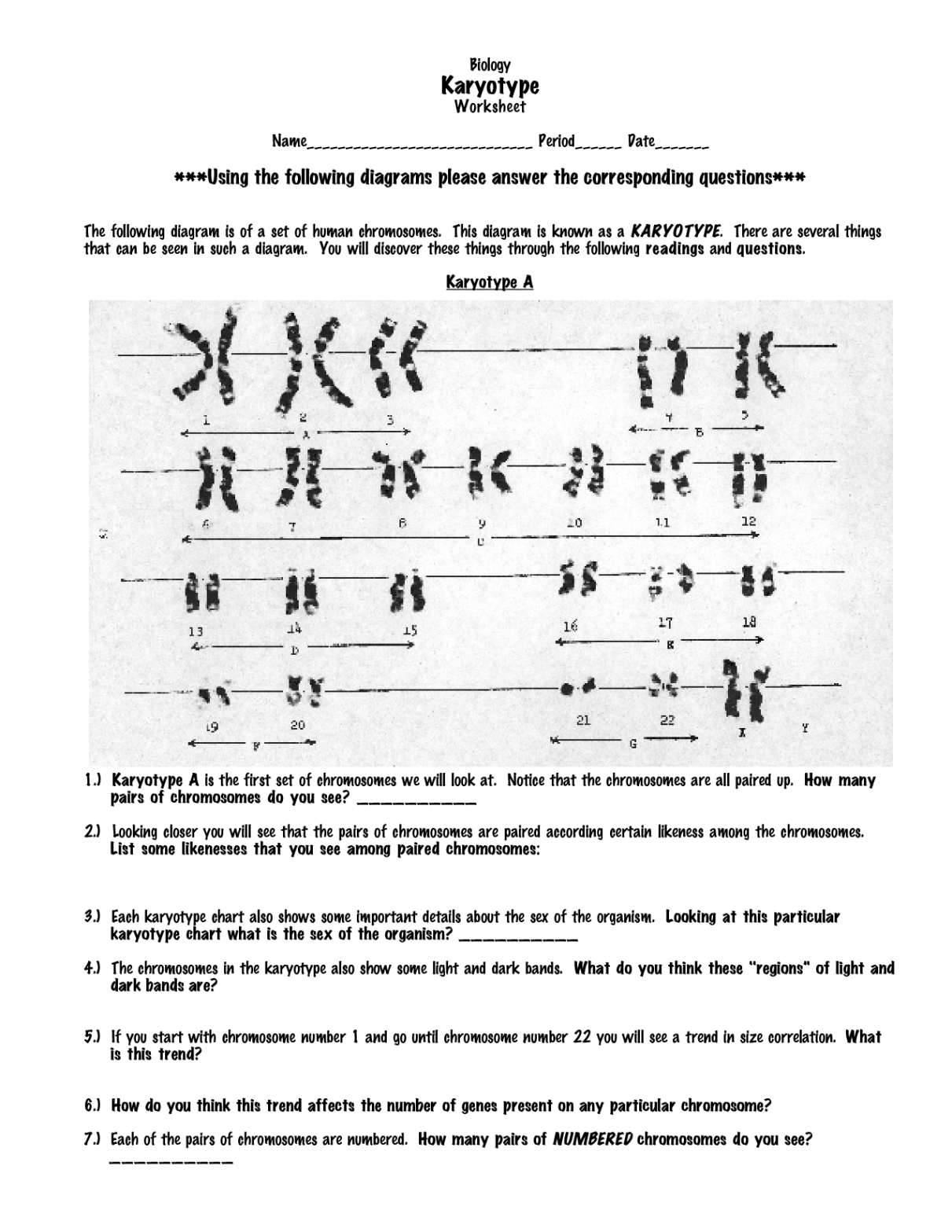 SOLUTION: Karyotype worksheet - Studypool