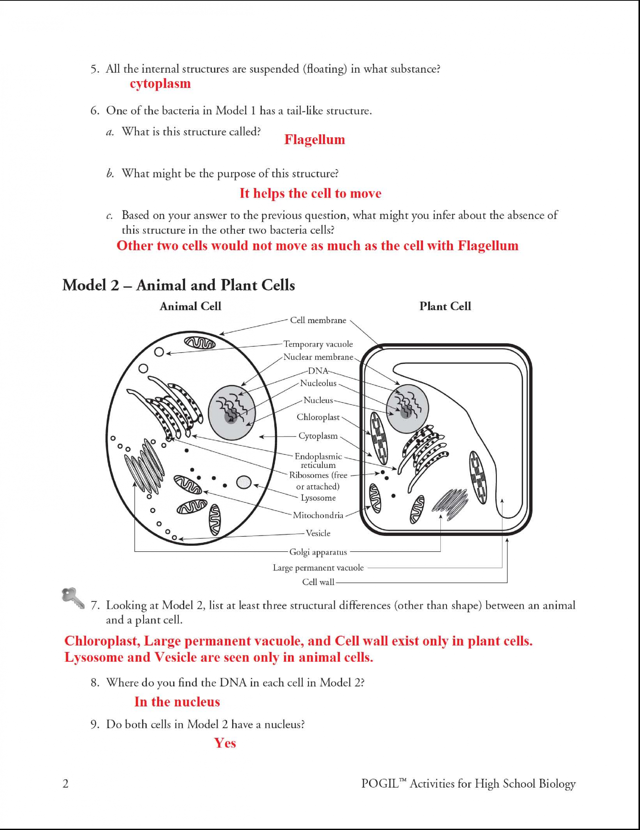 SOLUTION:  prokaryotic and eukaryotic cells - Studypool