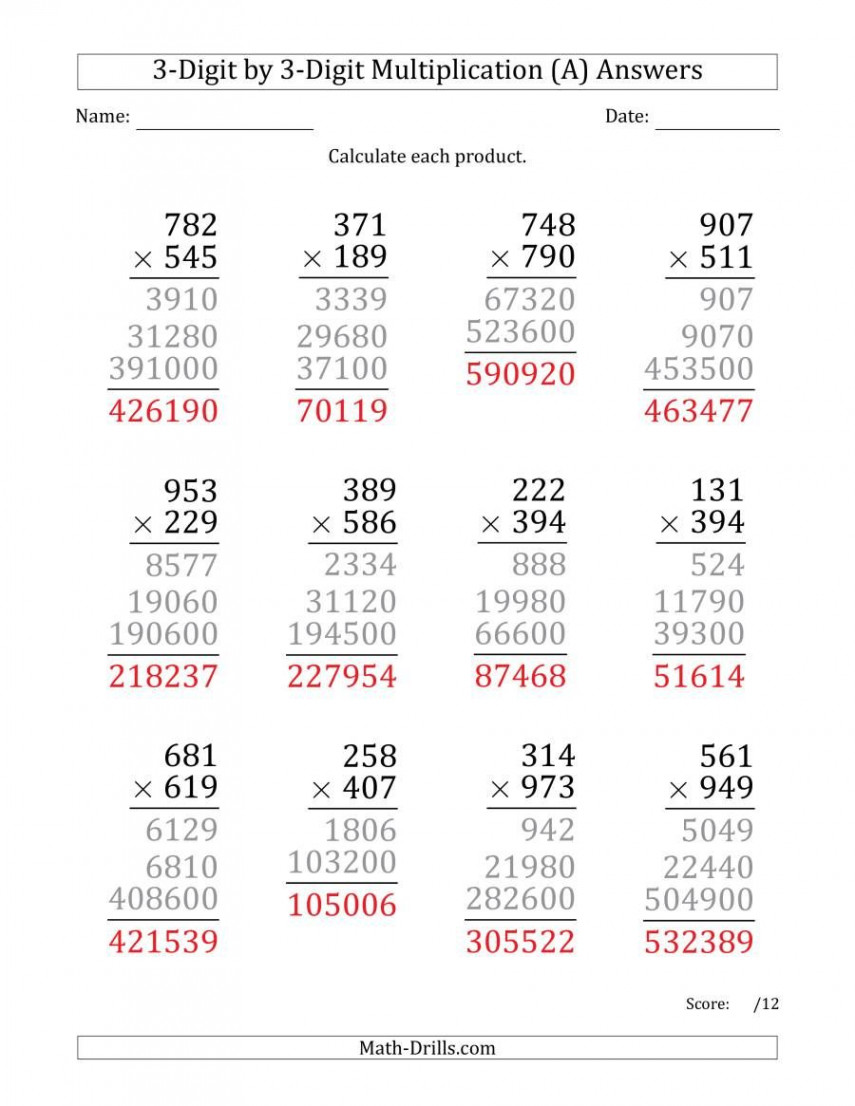 The Multiplying -Digit by -Digit Numbers (Large Print) (A) math