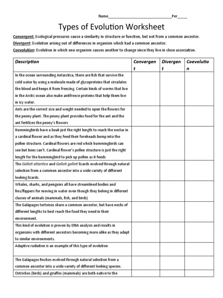 Types of Evolution Worksheet: Description Convergen T Divergen T