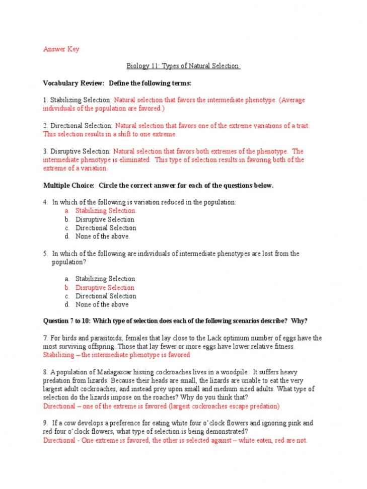 Types of Natural Selection  PDF  Natural Selection  Predation