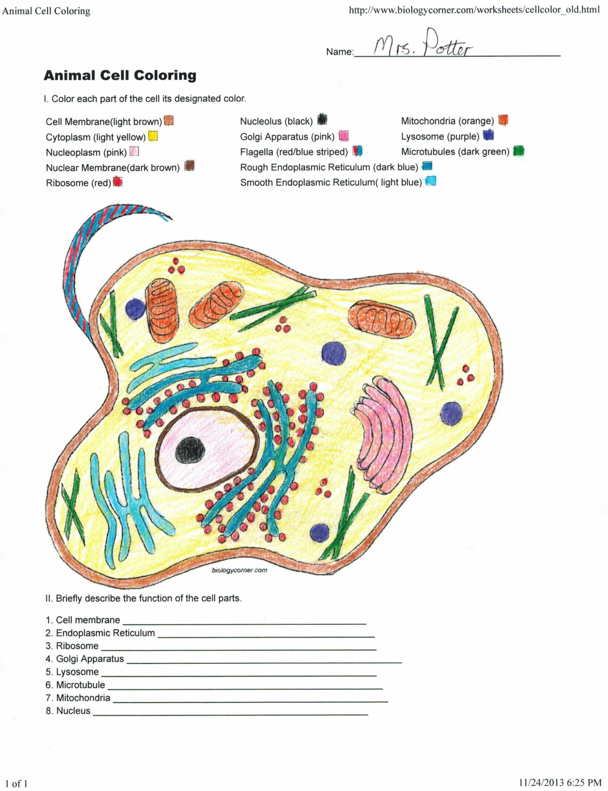 Biologycorner Com Animal Cell Coloring – Through the thousands of