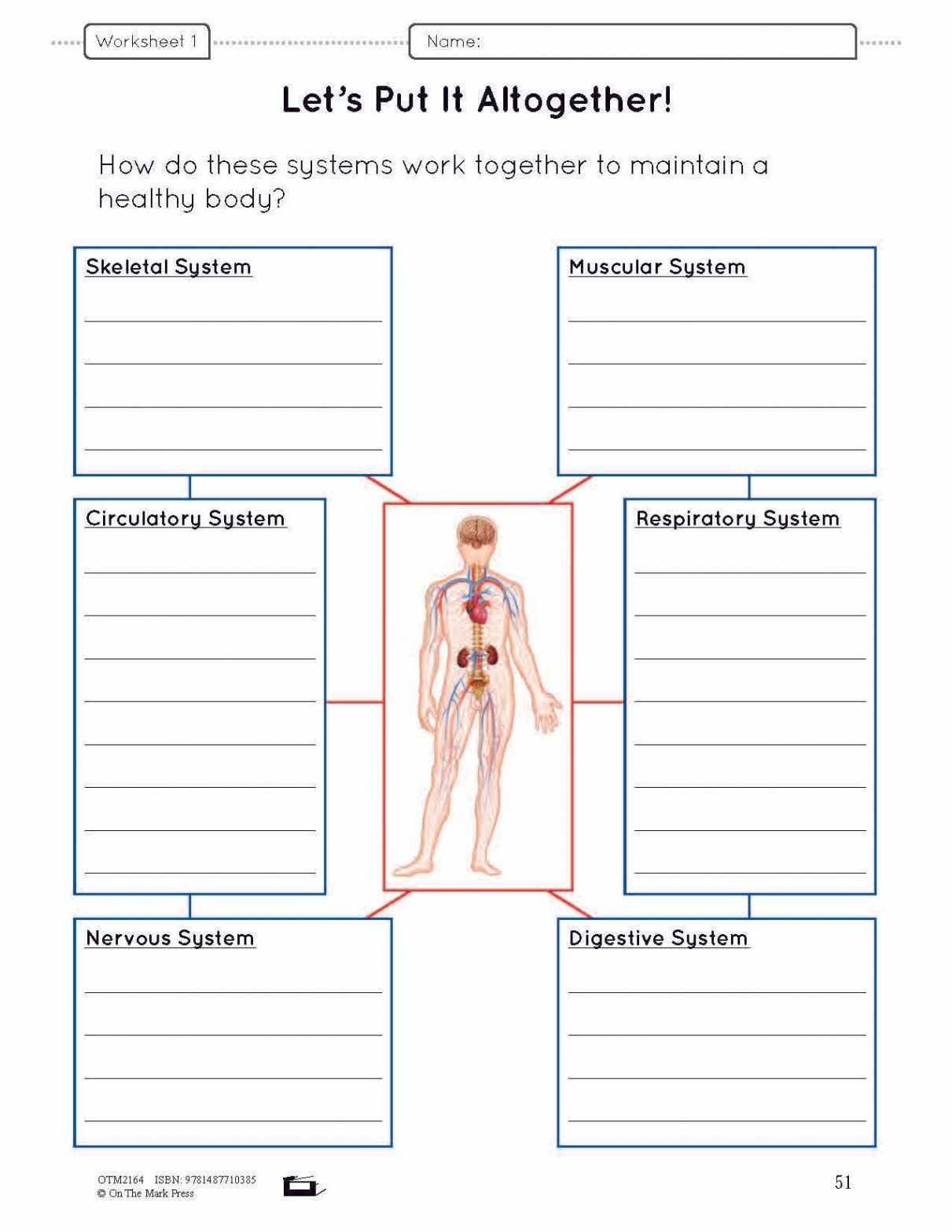 Body Systems Lesson & Worksheets e-Lesson Plan Grade