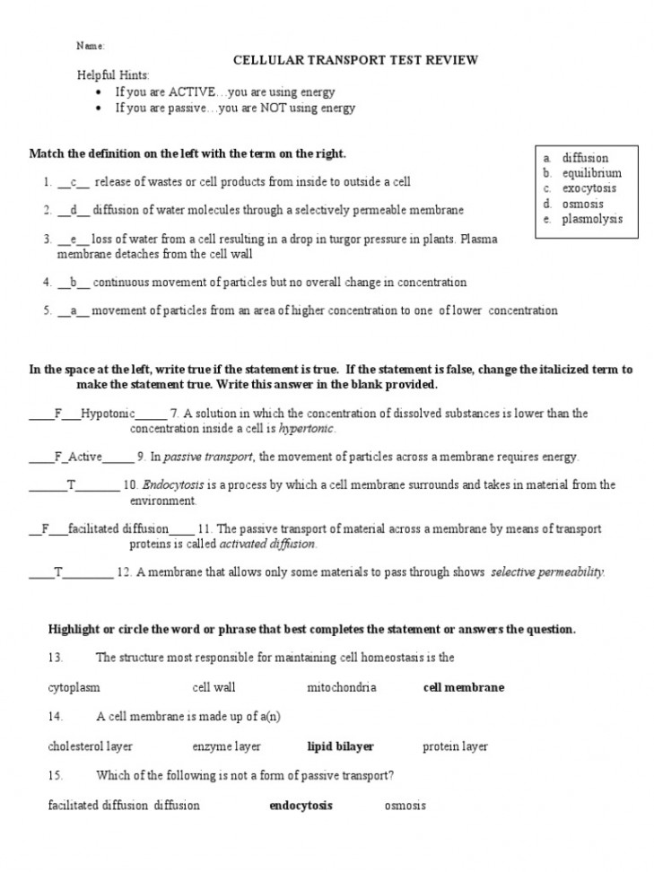 Cellular - Transport - Study - Guide - Answer Key  PDF  Osmosis