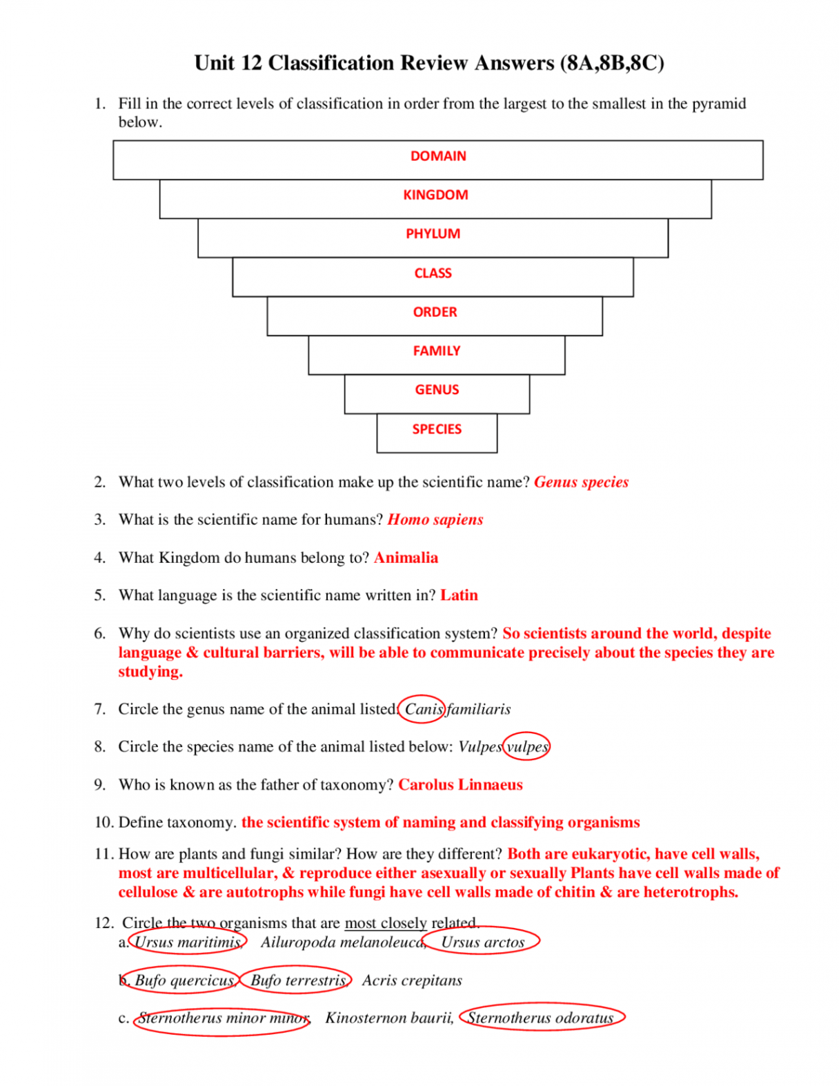 Classification and Taxonomy worksheet answers  Exercises Animal