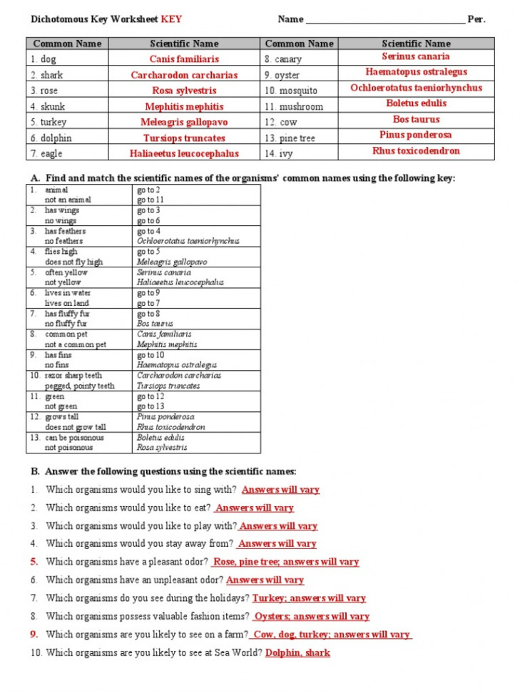 Dichot Key Practice WS - KEY  PDF  Nature