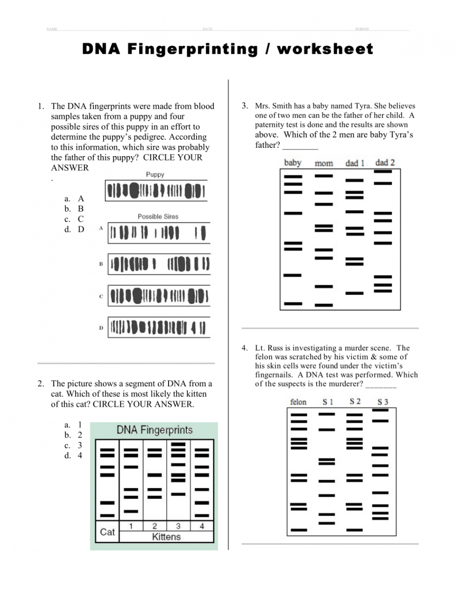 DNA Fingerprint Worksheet - Joseph Morsaw  Library  Formative