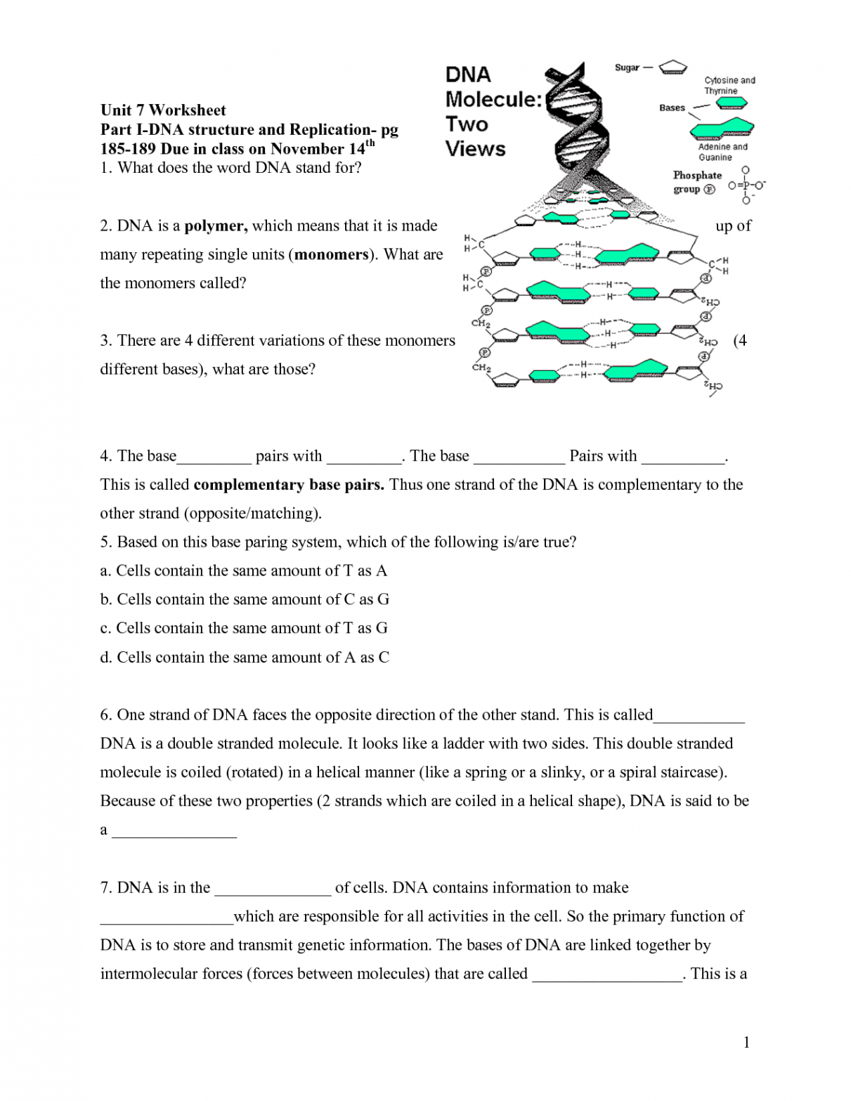 DNA Structure Worksheet Answer Key  Dna worksheet, Biology