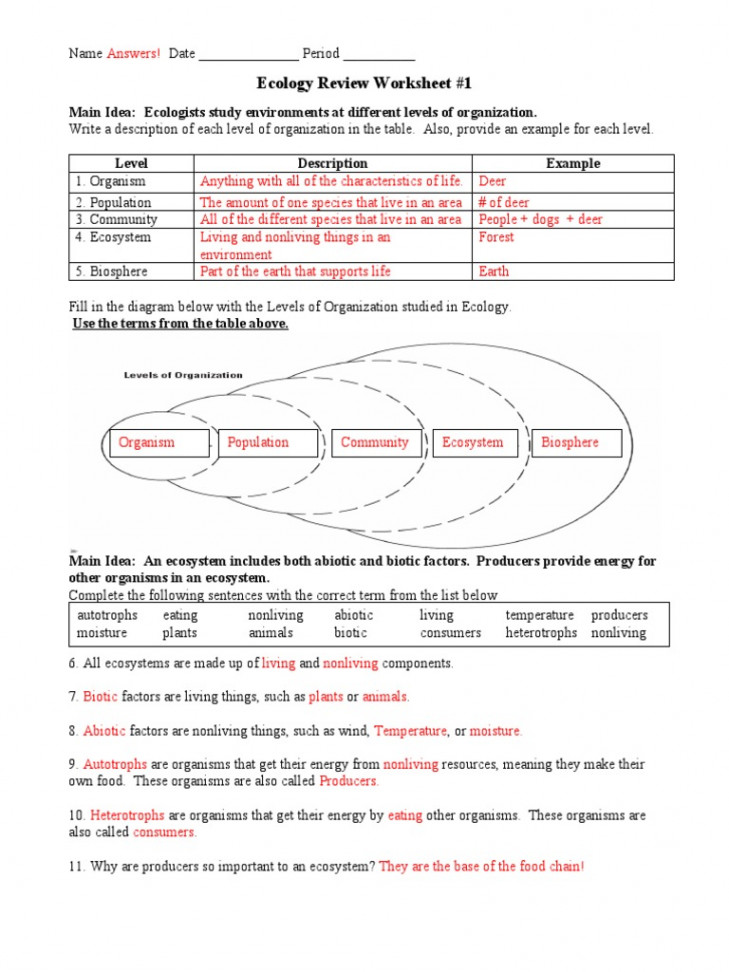 Ecology Review Worksheet  Answers  PDF  Food Web  Ecosystem