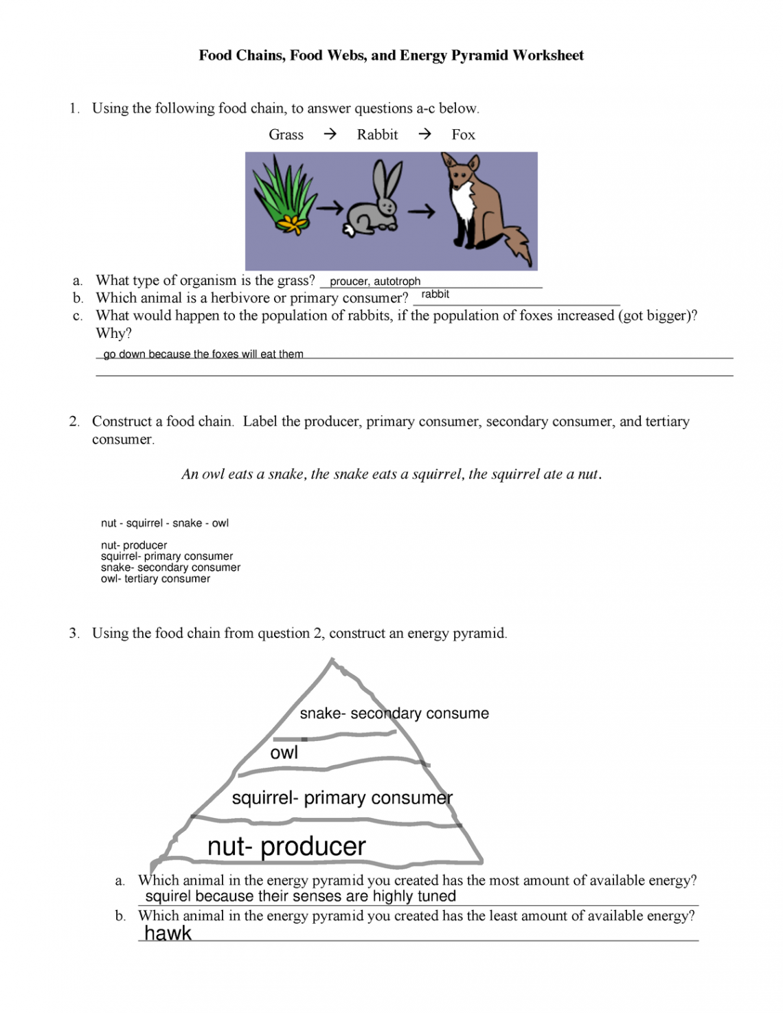 Ecology Web Chain WS - answer key if anyone needs it - Food Chains