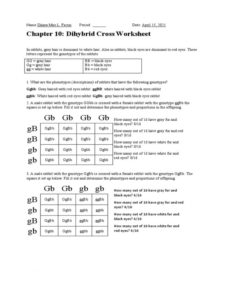 GBGBGBGB GB GB GB GB: Chapter : Dihybrid Cross Worksheet  PDF