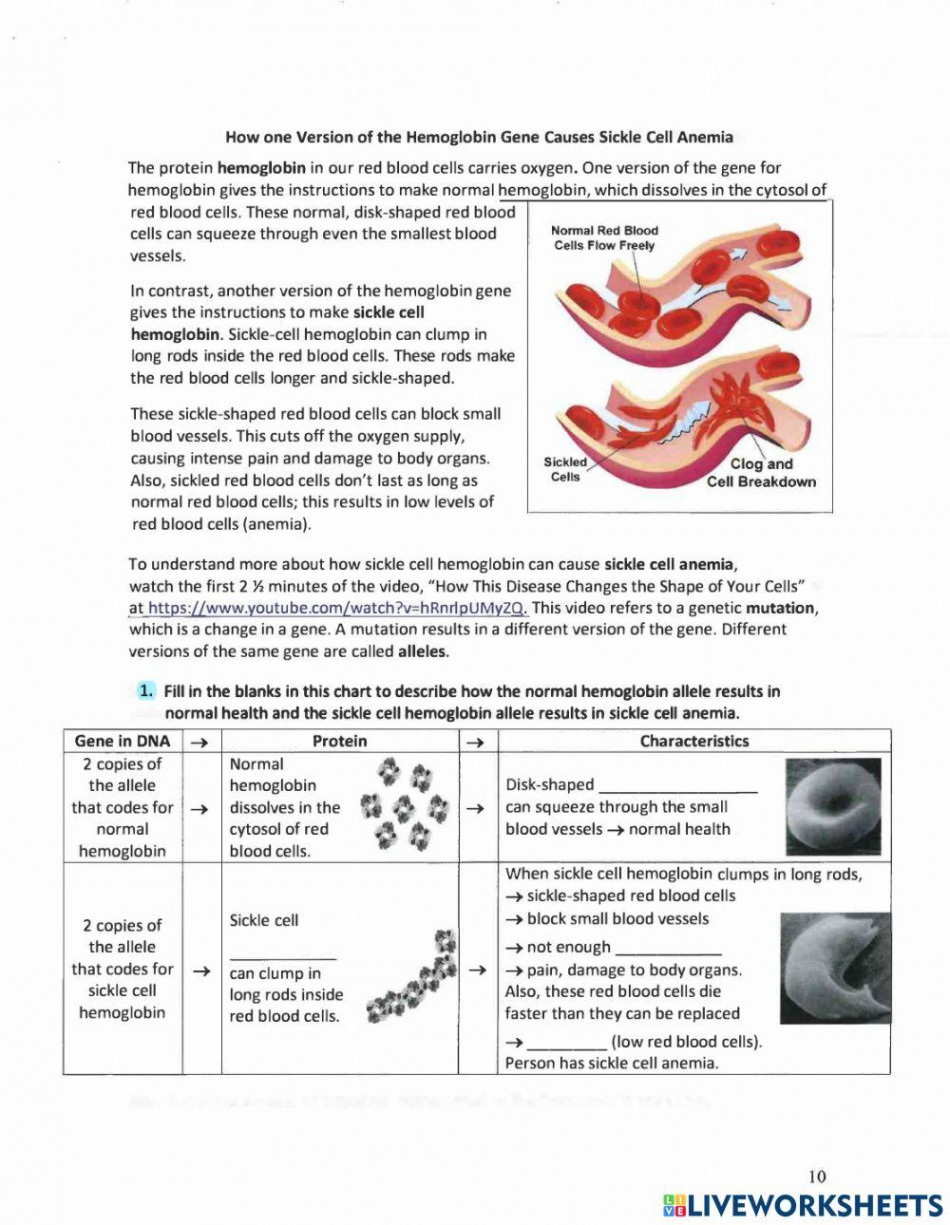 Gene Mutation: Sickle Cell Anemia online exercise for  Live