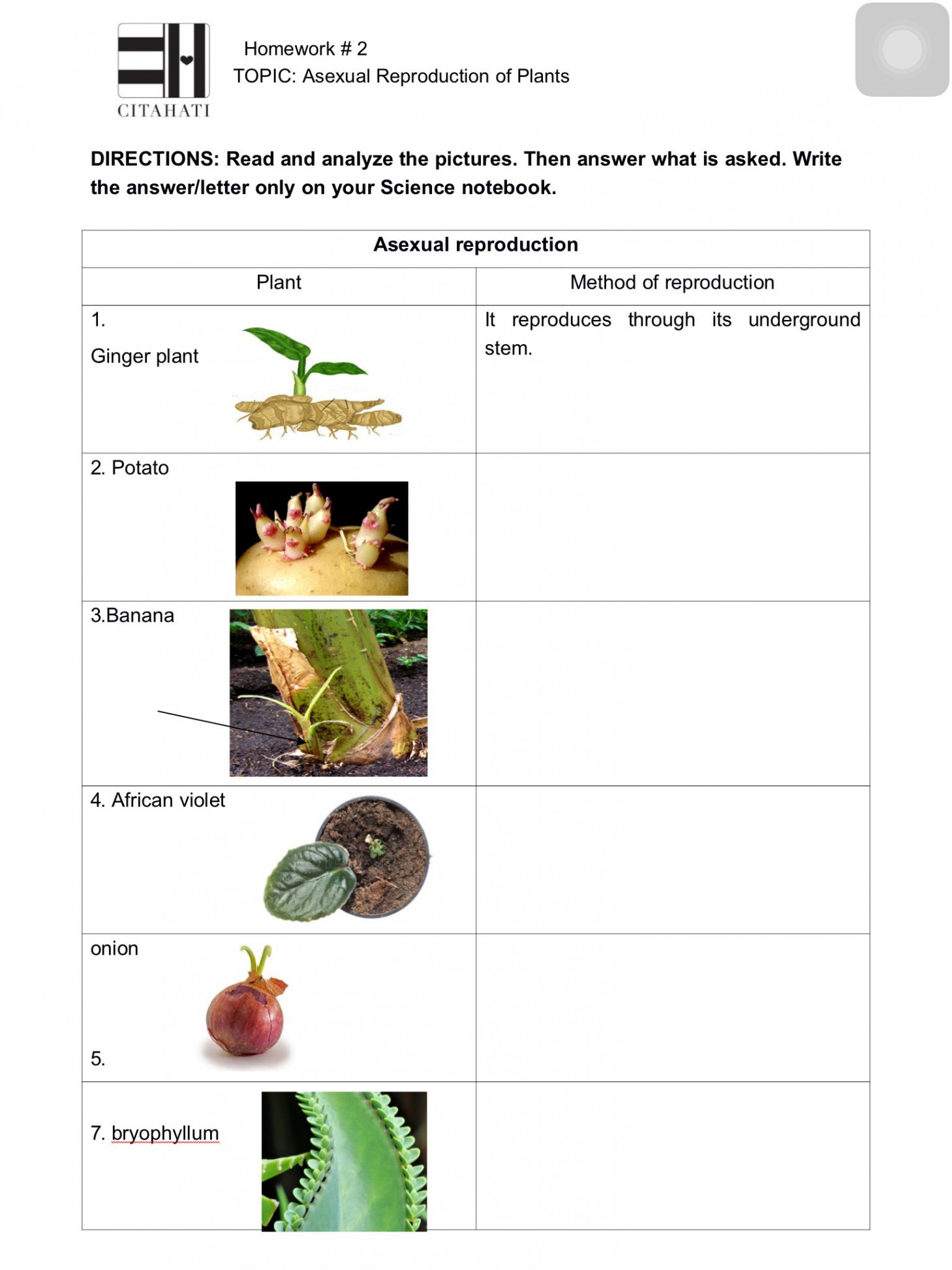 Homework # , Asexual Reproduction in Plants, Page , Theme